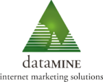 DataMine Internet Marketing Solutions  (219) 939-9987